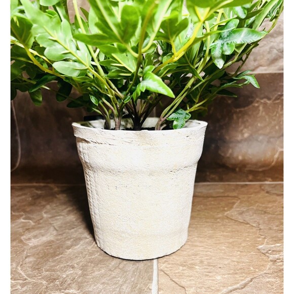 Faux Ribbon Fern 13”H Potted Plant - Threshold designed with Studio McGee - Picture 5 of 5